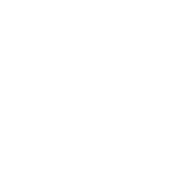 Swedish International Film Festival